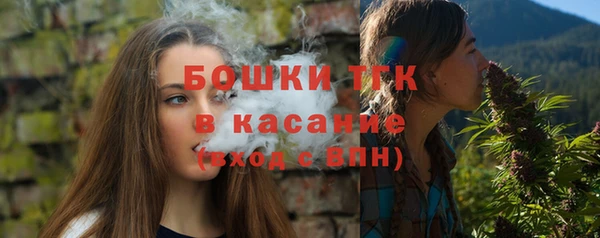 тгк Арсеньев